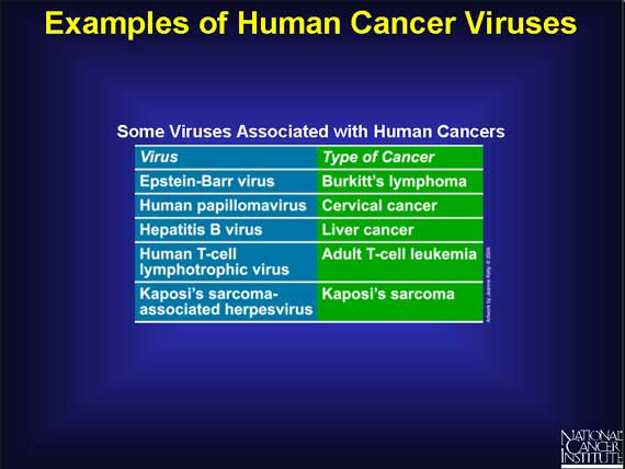Examples of Human Cancer Viruses