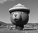 Photo of the Smokey Bear hot-air balloon -- sotry in Northern Region News.