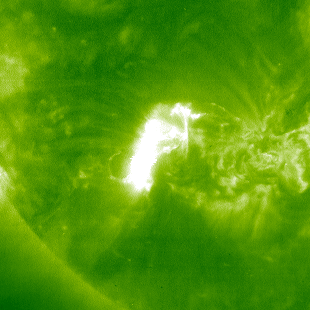 EIT 195 Å image of loops