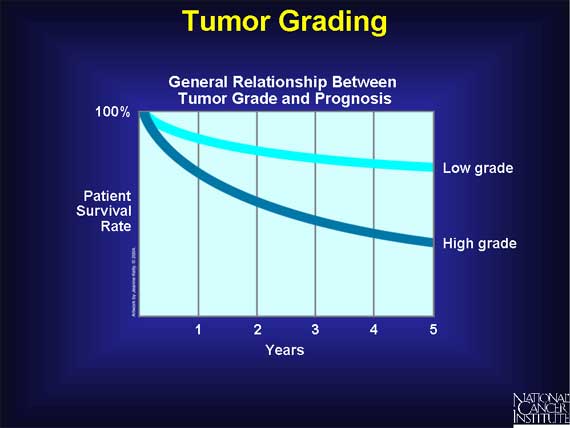 Tumor Grading