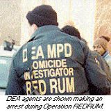 photo - DEA agents are shown making an arrest during Operation REDRUM.