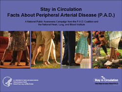 Stay in Circulation: Facts about Peripheral Arterial Disease (P.A.D.) 