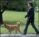 Photo: A woman walking her dog.
