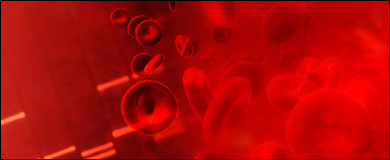 Illustration: Blood cells