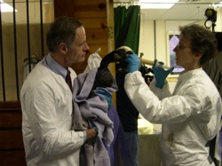 Senator Carper visits the Tri-State Bird Rescue and Research center