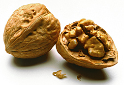 Photo: Walnuts. Link to photo information