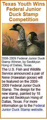 2008 2009 Federal Junior Duck Stamp Winner Seokk Hong from Dallas Texas