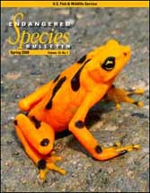 Endangered Species Bulletin Year of Frog