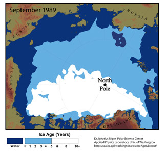 1989 sea ice.