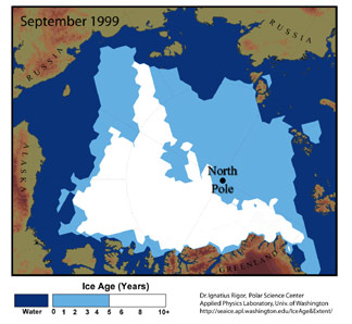 1999 sea ice.