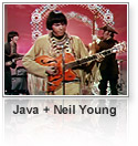 Java + Neil Young