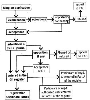 Flow chart showing the registration process 
