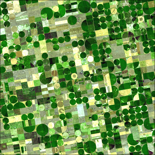Crop Circles in Kansas