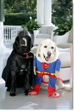 Vice President Dick Cheney's Labrador retrievers Jackson, left, and Dave, right, prepare for Halloween, Tuesday, Oct. 30, 2007, as they sit for a photograph at the Vice President's Residence at the Naval Observatory in Washington, D.C. Jackson is dressed as Darth Vader, Dave is dressed as Superman. White House photo by David Bohrer
