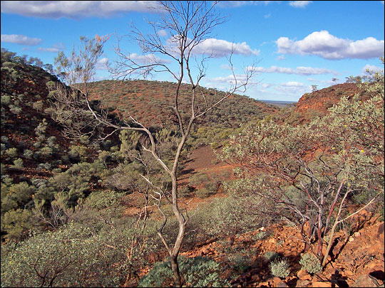 Photograph of the Jack Hills, Australia