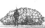 The charred remains of the Hindenburg under guard