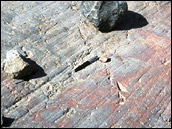 Photograph of glacial erratics