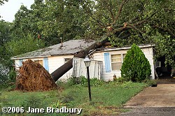 In Baxter County, some trees fell on houses...which was the case in other parts of northern and central Arkansas on 07/21/2006.