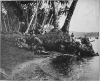 Troops landing at Solomon Islands