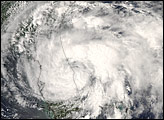 Thumbnail of Tropical Storm Fay
