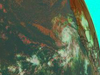 GOES image of Tropical Storm BERTHA