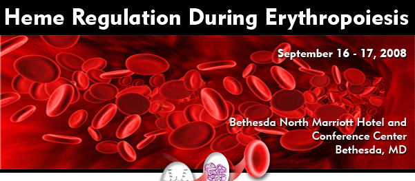 Heme Regulation During Erythropoiesis - September 16 - 17, 2008