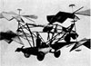 In 1843, Sir George Cayley of Great Britain drew up plans for this aerial carriage that used rotors on opposite sides to cou