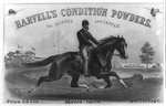 Havell's condition powders for horses and cattle