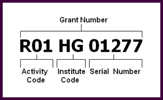 Screen shot of a Sample Grant Number Diagram