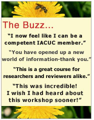 What workshop participants are saying about their experience at the AWIC workshop.