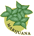 Artwork of marijuana plant