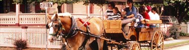 Cape May carriage