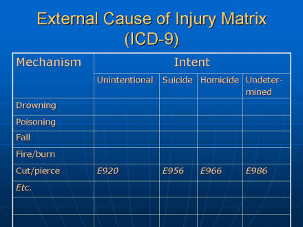 Picture of slide 22 as described above, which also includes a picture of the external cause of injury matrix as described above.