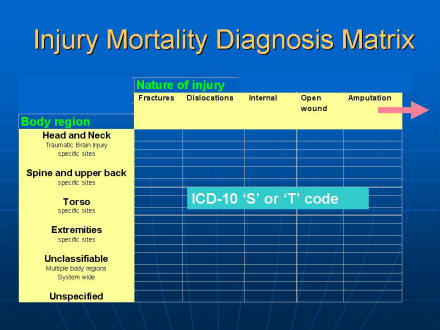 Picture of slide 26 as described above, which also includes a picture of the Injury Mortality Diagnosis Matrix as described above.