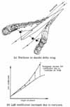 Vortices on lift vs angle of attack