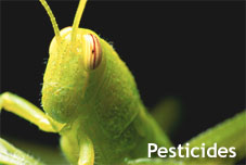 Pesticides - Copyright WARNING: Not all materials on this Web site were created by the federal government. Some content — including both images and text — may be the copyrighted property of others and used by the DOL under a license. Such content generally is accompanied by a copyright notice. It is your responsibility to obtain any necessary permission from the owner's of such material prior to making use of it. You may contact the DOL for details on specific content, but we cannot guarantee the copyright status of such items. Please consult the U.S. Copyright Office at the Library of Congress — http://www.copyright.gov — to search for copyrighted materials.