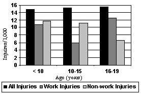 Non-fatal injury rates (per 1,000) for youth living* on U.S. farms by age group, 2004