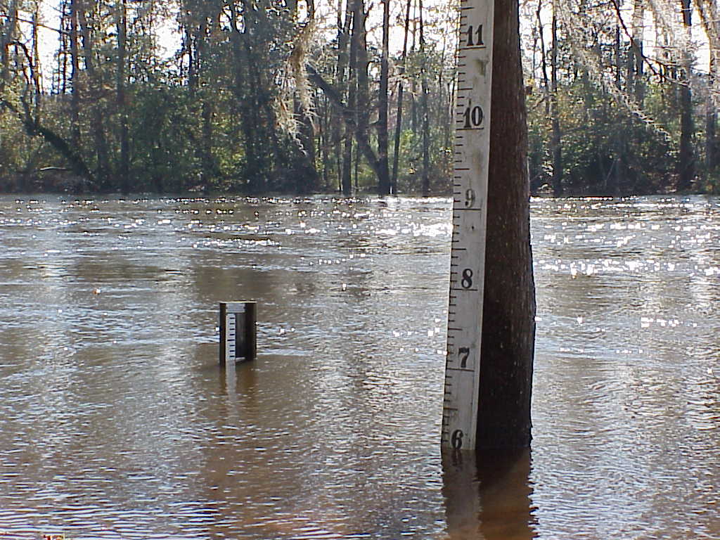 The Calcasieu River near Old Town Bay during flooding in November 2001