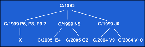 The suspected relationships among 9 Marsden-group comets