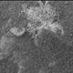 Spirit Examines Light-Toned 'Halley' (Microscopic Image)