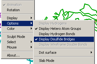 Options: Display Disulfide Bridges