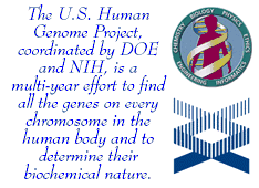 DOE and NIH logos