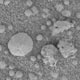  microscopic image from the Mars Exploration Rover