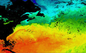 Terra MODIS Sea Surface Temperatures for
North Atlantic Ocean
