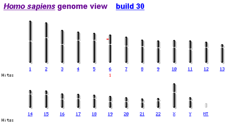 Home sapiens Genome View