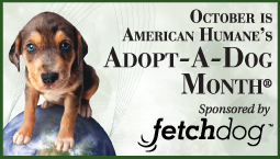 October is American Humane's Adopt-A-Dog Month