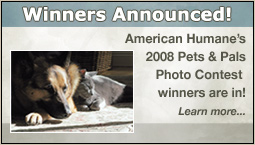 Winners of American Humane's Pets & Pals Photo Contest