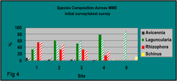 bar graph illustrating species composition across the mangrove-marsh ecotone