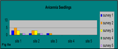 bar graph showing total number of established Avicennia seedlings