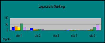 bar graph showing total number of established Laguncularia seedlings